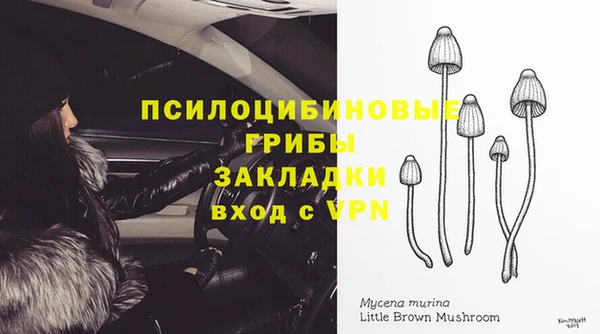 mdma Богданович